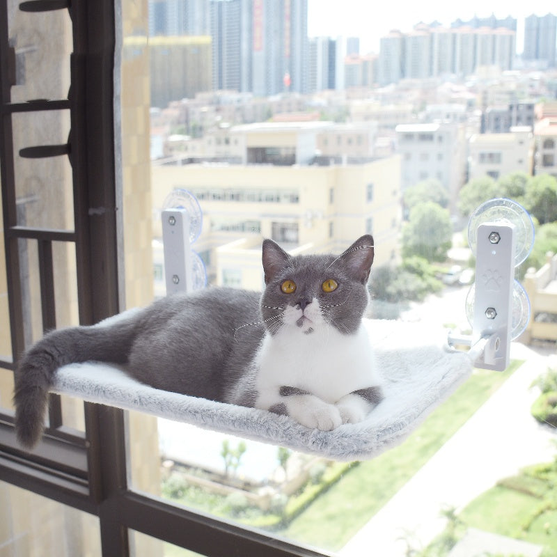 Furniture & Perches