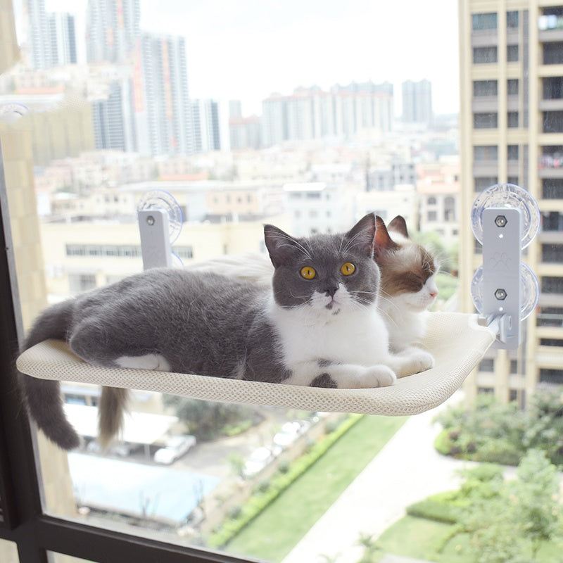 Sunny Window Perch – Your Cat’s Cozy Observation Spot
