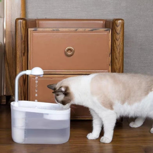 Happy Cat Hydration, No Plugs Needed – Just Pour & Go!