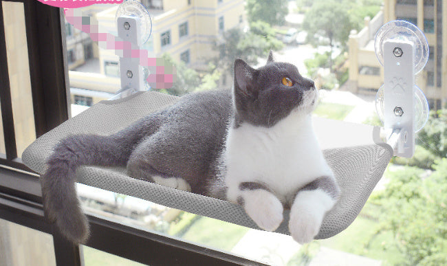 Sunny Window Perch – Your Cat’s Cozy Observation Spot